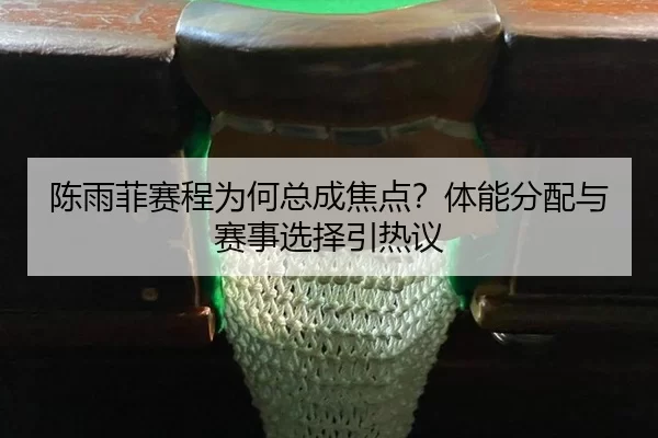 chen-yu-fei-sai-cheng-wei-he-zong-cheng-jiao-dian-ti-neng-fen-pei-yu-sai-shi-xuan-ze-yin-re-yi-2-520.jpg